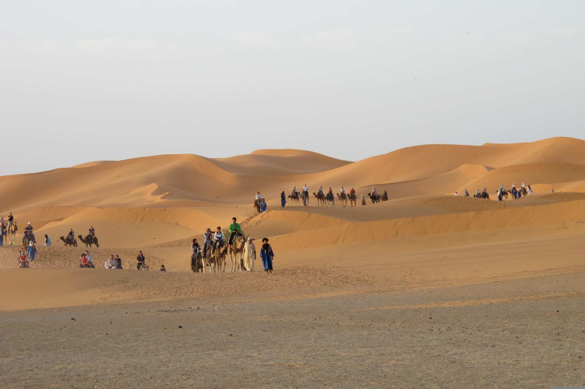 Caravana de dromedarios en las dunas de Merzouga